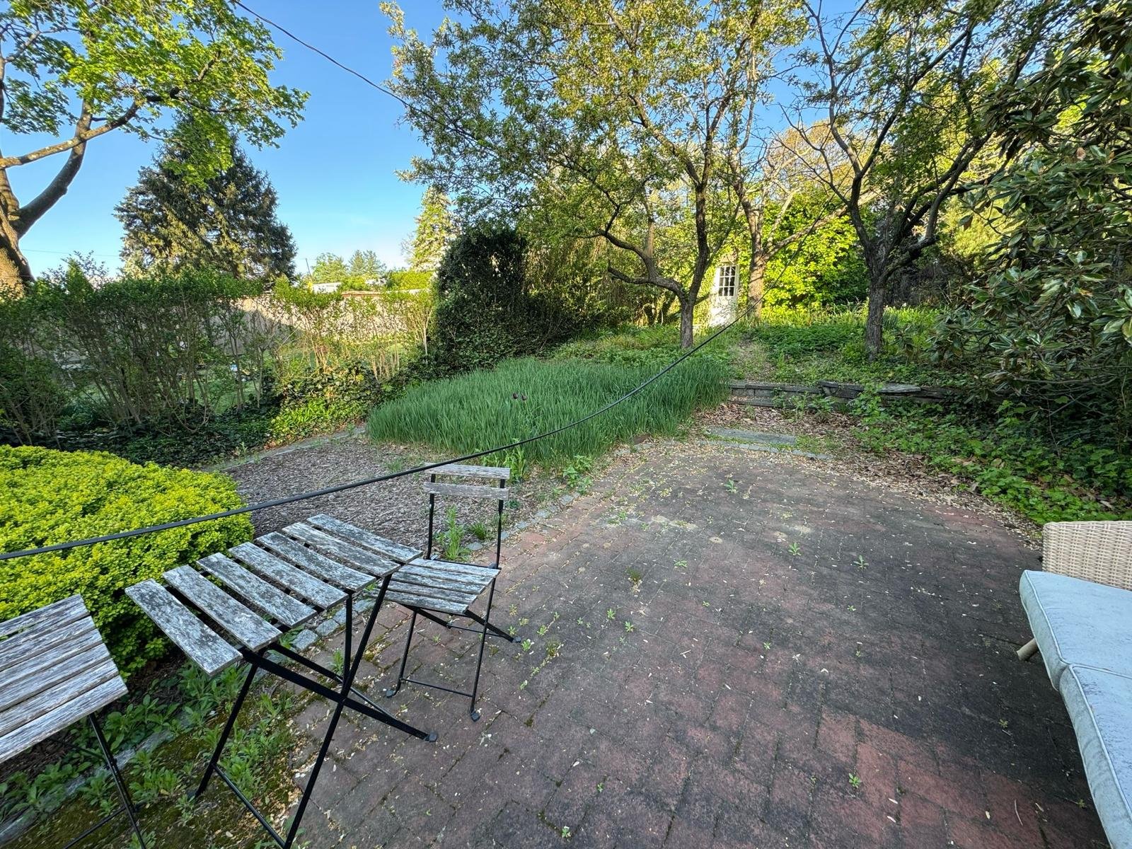 Yard cleanup work by Green Force Property Services